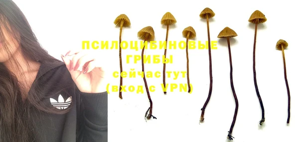 тгк Алексеевка