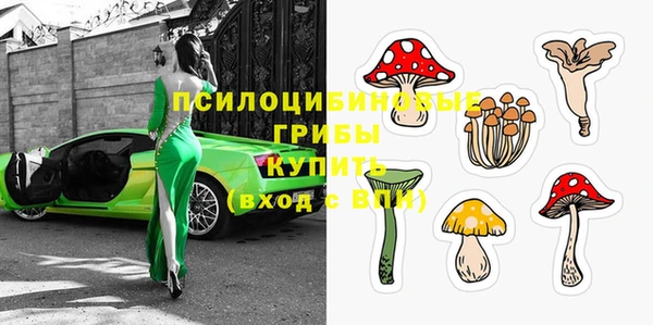 МДПВ Алексин