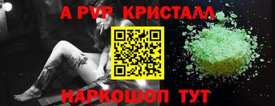 СК Вышний Волочёк