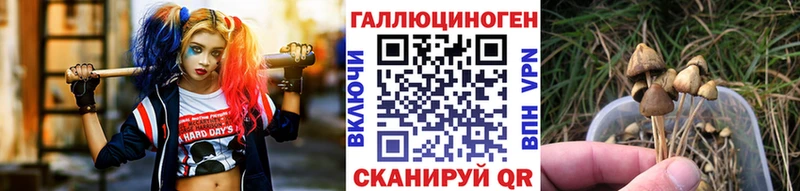 kraken онион  Белгород  Псилоцибиновые грибы MAGIC MUSHROOMS 