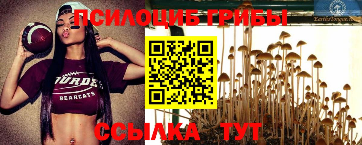 дарнет шоп  Вход с VPN  Белгород  Галлюциногенные грибы MAGIC MUSHROOMS  Галлюциногенные грибы MAGIC MUSHROOMS 